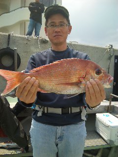 午前便の釣果は、鯛９本50㌢48㌢2本〜20㌢アコウ1本でした。