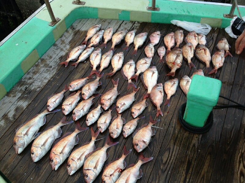 小豆島    鯛釣り