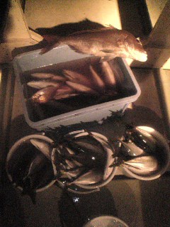 午後便 釣果は、ツバス５５本鯛６０㌢チャリコ４本でした。